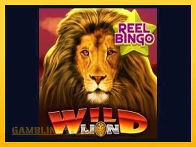 Wild Lion with Reel Bingo - mänguautomaat päris raha eest mängimiseks