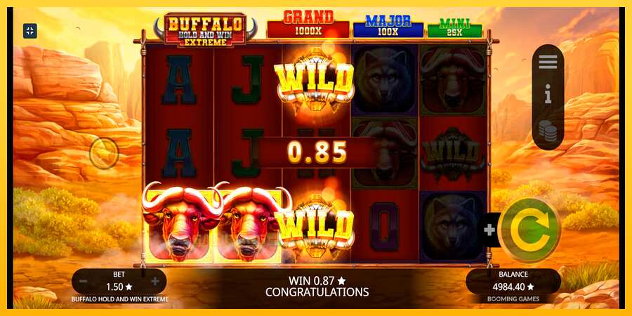 Aparaat Buffalo Hold and Win Extreme - mäng päris raha eest, pilt 6