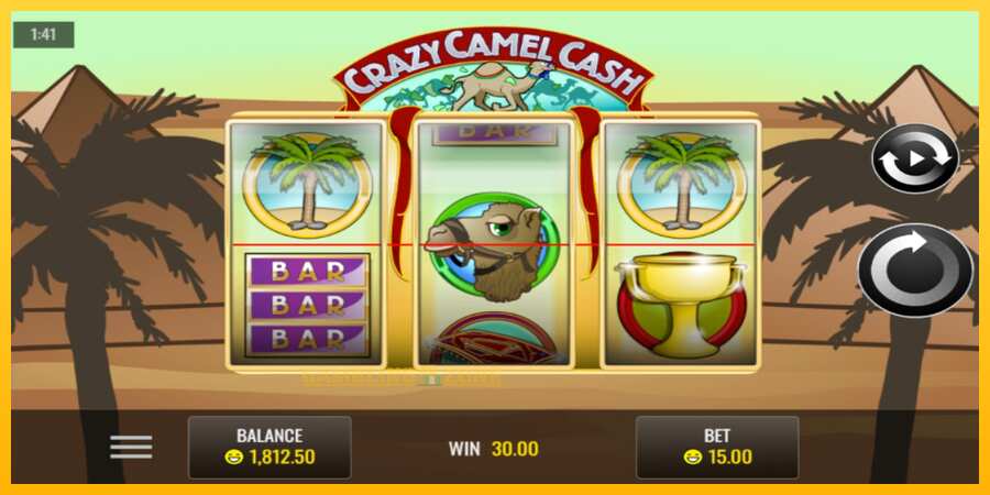 Aparaat Crazy Camel Cash - mäng päris raha eest, pilt 3