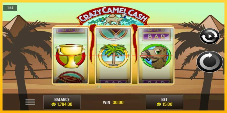 Aparaat Crazy Camel Cash - mäng päris raha eest, pilt 4