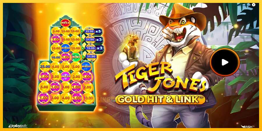 Aparaat Gold Hit & Link: Tiger Jones - mäng päris raha eest, pilt 1