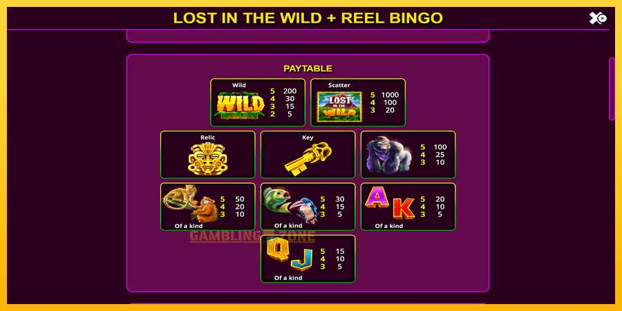 Aparaat Lost in the Wild with Reel Bingo - mäng päris raha eest, pilt 6