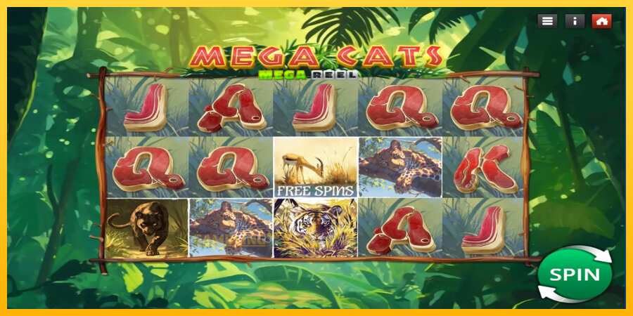 Aparaat Mega Cats Mega Reel - mäng päris raha eest, pilt 1