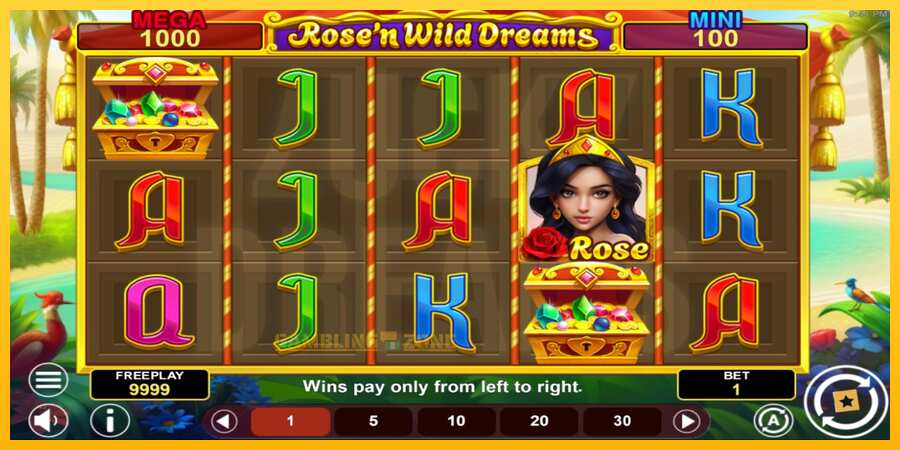 Aparaat Rose’n Wild Dreams Hold & Win - mäng päris raha eest, pilt 2