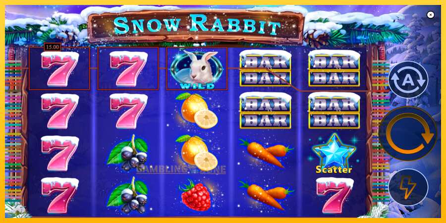 Aparaat Snow Rabbit - mäng päris raha eest, pilt 3