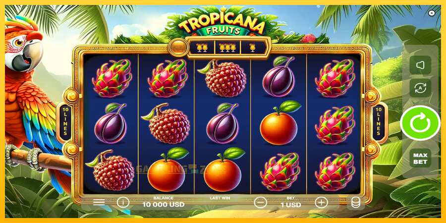 Aparaat Tropicana Fruits - mäng päris raha eest, pilt 2