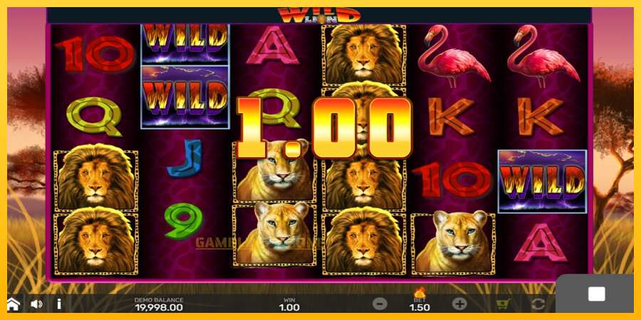 Aparaat Wild Lion with Reel Bingo - mäng päris raha eest, pilt 2